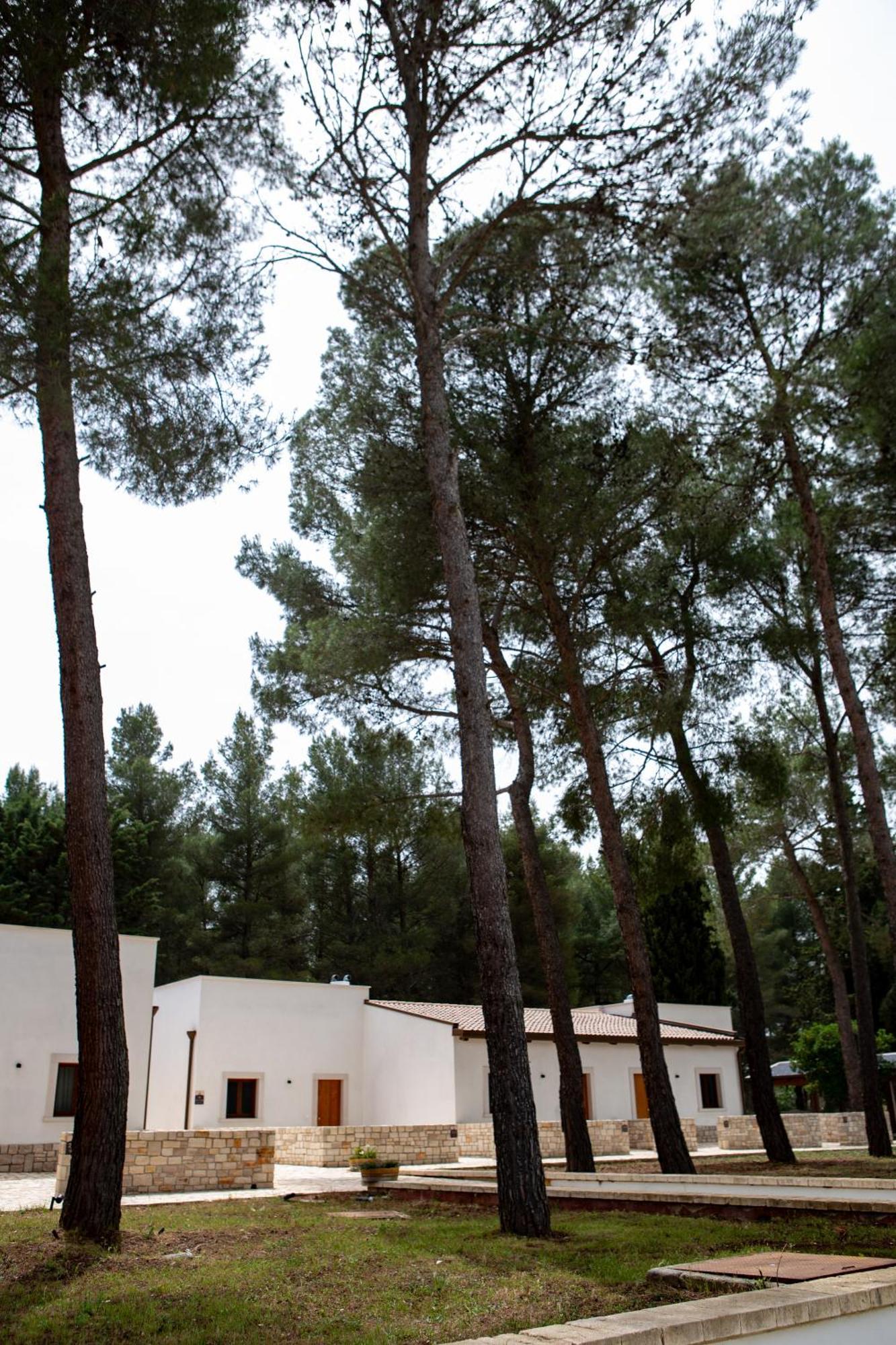 Wine Resort Le Vigne Al Castello Castel Del Monte  Luaran gambar